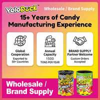 Yoloduck Lage MOQ Cartoon Gedroogde Gummy Candy Fruitige Gummies Halal