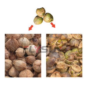 เครื่องปอกเปลือกมะพร้าวแบบอัตโนมัติสำหรับฟาร์มโดยใช้เครื่องปอกเปลือกมะพร้าวแบบเก่า - Product Image 3