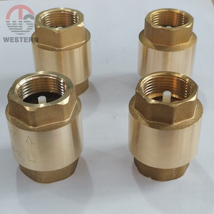 1" Pn16 Standard Sanitary 1 Way Water Pump Non Return Brass Vertical Lift Spring Loaded Check Valve