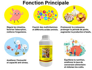 Complément de croissance pour volaille additifs alimentaires mélangés vitamine acide minéral liquide complément alimentaire pour bovins laitiers promoteur de poulet de chair - Product Image 4