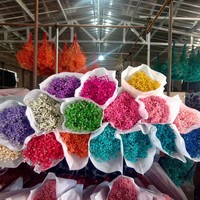 Bunga Baby Breath Dekoratif Rumah Grosir, Bunga Gypsophila Alami Diawetkan Kering