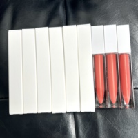 Gloss à lèvres végan sûr, logo personnalisé imprimé sur l'emballage extérieur, rendu du logo gratuit, choix de plusieurs couleurs