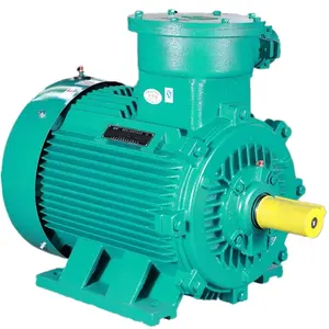 YB3 Series High Efficiency Explosion Proof Three Phase Asynchronous Motors H80-355mm
