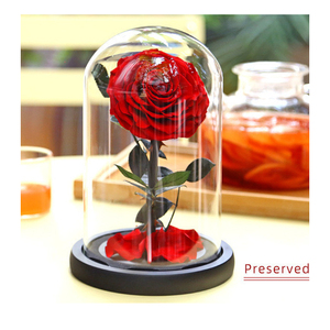 Couvercle en verre de fleur immortelle <span class=keywords><strong>prix</strong></span> fleur préservée <span class=keywords><strong>rose</strong></span> dôme en verre en gros <span class=keywords><strong>rose</strong></span> éternelle roses conservées dans un bocal en verre - Product Image 1