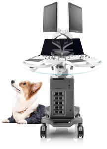 Sonoscape ProPet60, máquina de ultrasonido Doppler de Color veterinario, sistema de ecocardiografía, <span class=keywords><strong>precio</strong></span> de ultrasonido para animales - Product Image 2