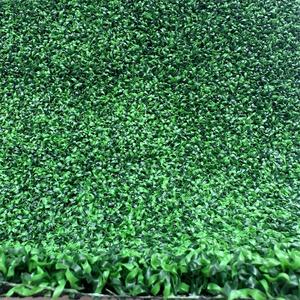 Fábrica de Césped Artificial en China Vende Césped Deportivo, Césped <span class=keywords><strong>para</strong></span> Golf, Alfombra Sintética <span class=keywords><strong>para</strong></span> Campos de Cricket y Redes de Entrenamiento de Cricket - Product Image 5