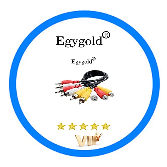 Egygold Cccam 2024 Nouvelle Europe Egygold Cccam Oscam Serveur stable rapide 8 lignes Pologne Slovaquie TVP 4K C + pour DVB S2 Satellite