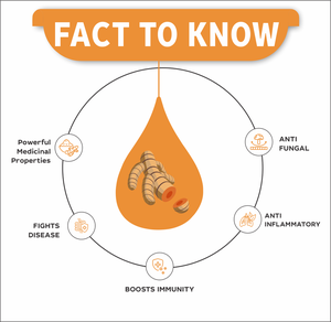 Gotas de Extracto de Cúrcuma 30ml Líquido Antiinflamatorio para la Salud de las Articulaciones y la Inmunidad Curcuma Longa con Curcumina Turmerona Nature's Bounty - Product Image 2