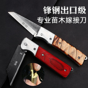 Cuchillo de injerto plegable Kyushu Garden con mango rojo y hoja de acero para poda de árboles frutales - Product Image 4