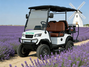 Carrito de Golf Eléctrico Compacto de 4 Plazas, Ideal para Viajes de Placer y Desplazamientos en Campos de Golf en Carreteras No Públicas - Product Image 6