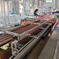 Máquina de Extrusión de Revestimiento de WPC (Compuesto de Madera y Plástico HDPE Reciclado) en Oferta, Línea de Producción de Tableros de WPC para Exteriores TONGSANHEGU