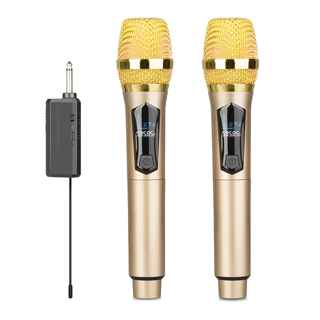 W102 Professional Wireless Microphone 2 Channels Handheld Mic Microphone Speaker for Party Karaoke