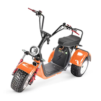 Scooter Eléctrico de 3 Ruedas Citycoco 2026 de 3000w/4000w con Dos Baterías Extraíbles de 60v40H/20AH / Triciclo Eléctrico