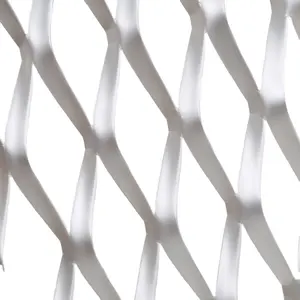 白色铝粉涂层筛网膨胀金属网面板