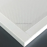 Plaque de guidage lumineux LED en PMMA transparent optique de 9 mm, modèle LUZ 0806, panneau acrylique à points, certifié CE ROHS, personnalisable pour la publicité