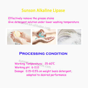 Enzima lipasi alcalina per la rimozione di macchie di grasso lipasi liquidi detergenti enzimi per il bucato per la pulizia di macchie di olio grasso - Product Image 4