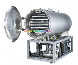 DZJX Manufacturer Home Use Freeze Dryer Machine Freeze Drying Equipment For Food
