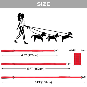 Laisse pour chien en nylon réfléchissant, robuste, pour la promenade des chiens de taille moyenne et grande, épaissie pour un contrôle supplémentaire - Product Image 5