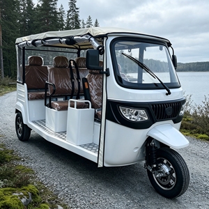 Tuk Tuk <span class=keywords><strong>El</strong></span>éctrico de 7500W y 6 Pasajeros, Aprobado por la CEE, <span class=keywords><strong>para</strong></span> Transporte de Huéspedes de Hotel, Servicio de Transporte al <span class=keywords><strong>Aeropuerto</strong></span>, Batería de Litio EV - Product Image 1