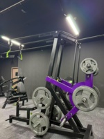 Machine à pulldown à charge libre, série à trois rails, avec coussin de poitrine de sécurité en acier, siège à réglage d'angle, coussin de cuisse, bras de torsion, 5 niveaux de résistance