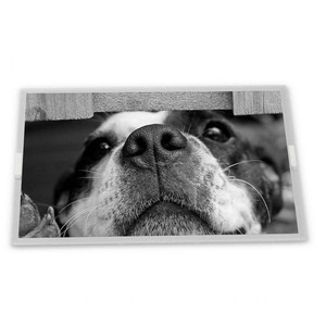 7.0-inch WLED TFT <span class=keywords><strong>LCD</strong></span> hiển thị <span class=keywords><strong>Module</strong></span> LA070WV1-TD05 với 800*480 Độ phân giải <span class=keywords><strong>LCD</strong></span> <span class=keywords><strong>module</strong></span> LA070WV1-<span class=keywords><strong>TD06</strong></span>. - Product Image 1