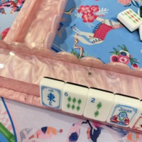 Supports de Mahjong américains en acrylique rose coquille avec poussoirs magnétiques, 4 supports de tuiles, accessoires de jeu personnalisés