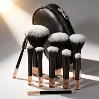 Mini Kit Complet de 10 Pinceaux de Maquillage Plats Portables avec Étui – Poudre Libre, Fond de Teint, Fard à Joues, Fard à Paupières – Vente Transfrontalière