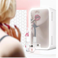 Kosmetische Hautpflege Kühlschrank kleine billige tragbare Schönheit kompakte Kühlschrank Make-up Make-up Kühlschrank 8L Frigo mit Spiegel