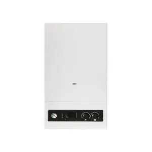 Hoge Efficiëntie Muur Gehangen Gas Boiler 2 Warmtewisselaars 24KW Combi