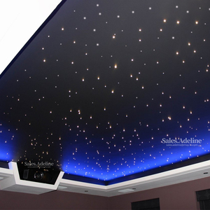 20W Glasfaser-Lichtquelle Sternenhimmel-Lichtquelle Weiße LED-Farbrad für Sauna Innenraumdekoration - Product Image 3