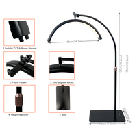 Lampe de chevet au sol demi-lune en aluminium 40W bicolore 28 pouces avec 320 LED et température de couleur réglable