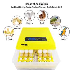 Pin 220 V và 12 V hành mái ấp trứng ấp trứng tự động - Product Image 5