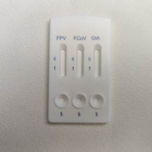 Feline 4 Way Test FPV FCOV FHV FCV AG Combo Test Kit para gato - Product Image 3