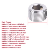 Raccord de tuyau hexagonal intérieur en acier 304 1/8 1/4 3/8 1/2 3/4 1 2 BSP Filetage mâle Embout fraisé Raccord pneumatique