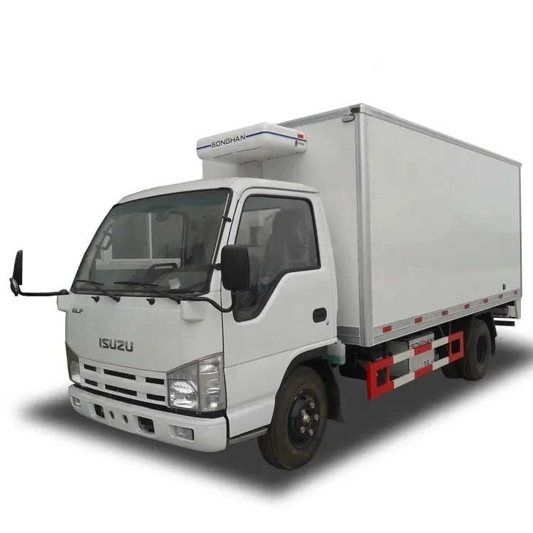 1SUZU ELF 100P 3-5 tonnellate Piccolo Cibo Freezer Veicolo Ice Cream Reefer Van a base di Carne di Trasporto Frigorifero Camion per la Vendita Filippine