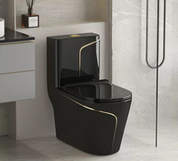 WC monobloc allongé moderne en céramique gris avec ligne dorée, à poser au sol, ensemble de toilettes