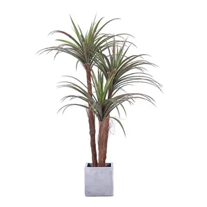 5627 Hoge Simulatie Dracaena Palm Kunstmatige Yucca Plant Boom Rostrata