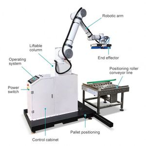 Paletizador Automático de Cartones con Rodamiento y Bomba para Embalaje de Plástico, Apilado de Cajas y Manejo de Materiales, Automatización de Fábrica - Product Image 1