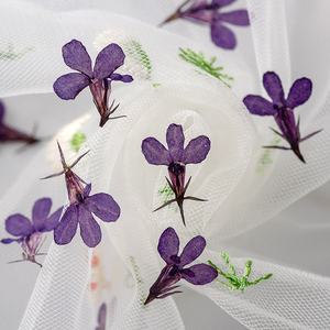 12 pièces/sac <span class=keywords><strong>Lobelia</strong></span> fleurs pressées - Product Image 4