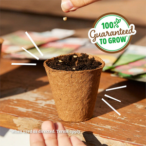 Oranic Herb & Veggie Lot de 20 légumes pour pots de fleurs et jardinières - Product Image 6