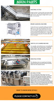 Totale Wortel Industriële Fabriek Van Baby Wortelverwerkingsmachine Productielijn
