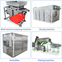 Machine de séchage et de décorticage à vapeur HNOC pour noix de cajou, capacité 2t/h, ligne de production de noix de cajou