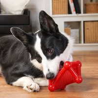 Jouet distributeur de friandises pour chien TPE Twist Bone, jouet interactif à mâcher en forme d'os pour la distribution de nourriture, jouet de puzzle IQ résistant aux morsures pour chiens