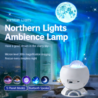 Lampe de projection d'étoiles et d'aurores boréales pour l'ambiance sonore de la chambre, alimentée par batterie, à intensité variable, cadeau pour couple
