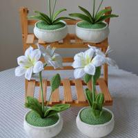 Plante en pot Amaryllis au crochet de luxe exclusive, artisanale, en fil de laine haut de gamme, fleurs artificielles haut de gamme pour la décoration intérieure
