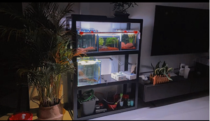 סדרת 6000 סיטונאית פרופיל אלומיניום תעשייתי 4040 סדרה חריץ T-חריץ עם שירות עיבוד - Product Image 6