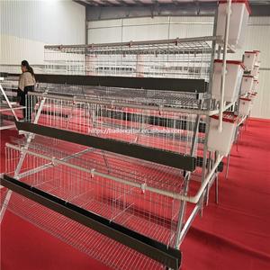 Высококачественная A-120 модель BAILONG, трехслойная оцинкованная клетка для кур, 1 год гарантии, длительный срок службы для укладки курицы - Product Image 4