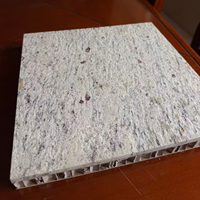 Paneles Sándwich de Aluminio con Núcleo de Panal de Abeja, Personalizados, de Acero Inoxidable Moderno, Marca GEG, para Puertas Ignífugas