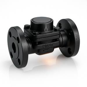 Trampa de Vapor Termostática de Presión Equilibrada TS80 Horizontal de Acero Forjado SCPH1 con Rosca NPT/BSPT para Sistemas Spirax Sarco - Product Image 6