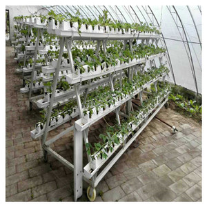 อุปกรณ์การเพาะปลูกนวัตกรรมการปลูกเมล็ดไฮโดรโพนิกทางการ<span class=keywords><strong>เกษตร</strong></span>โดยอัตโนมัติ - Product Image 3